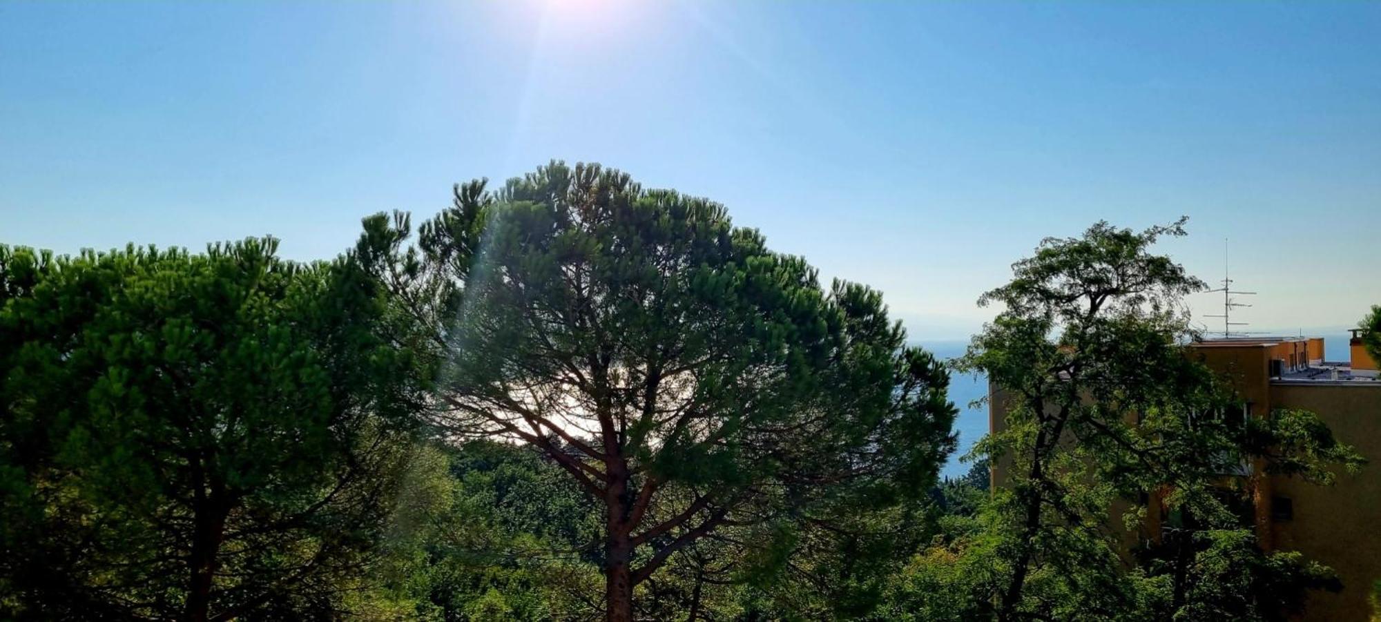 Apartment Lana Adriatic Opatija